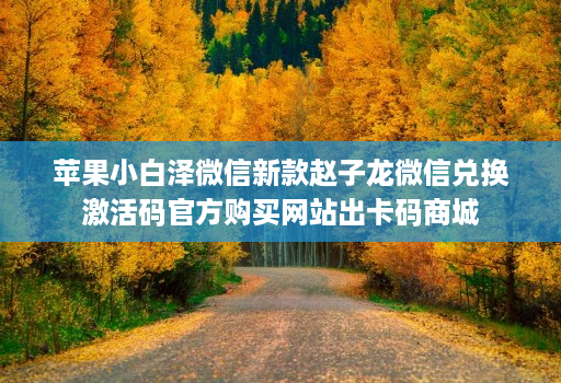 苹果小白泽微信新款赵子龙微信兑换激活码官方购买网站出卡码商城
