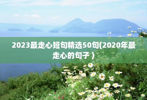 2023最走心短句精选50句(2020年最走心的句子 )
